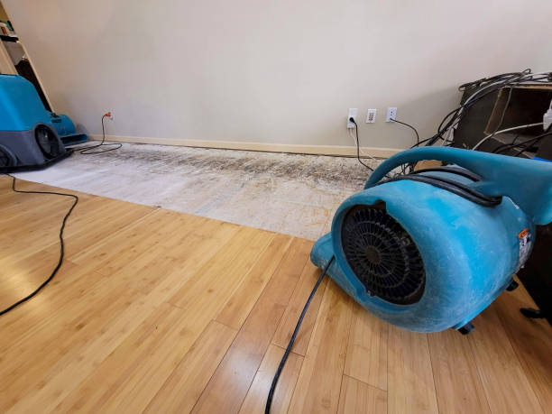 Professional Basement Flood Cleanup technician working in Meadow Bridge, WV
